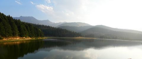 Webcam en directo: Lac de Payolle